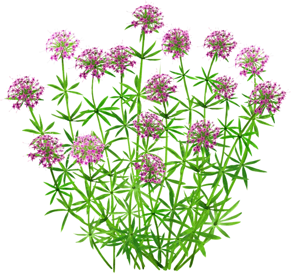 large-styled crosswort